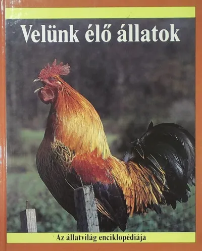 Utolsó esély Velünk élő állatok