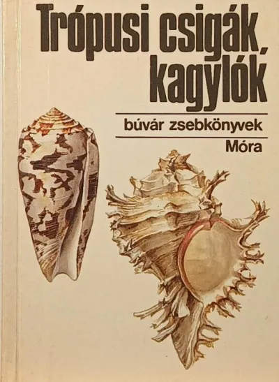 Végkiárusítás Trópusi csigák, kagylók