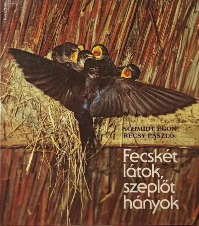 Fecskét látok, szeplőt hányok Biztonságos fizetés