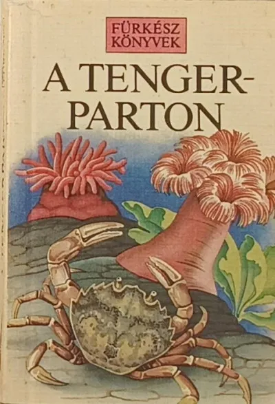 A tengerparton Különleges ajánlat
