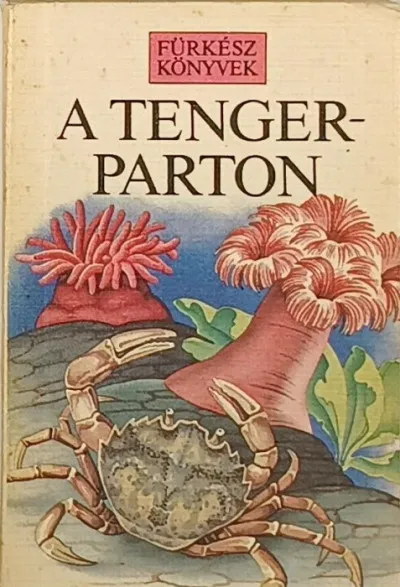 A tengerparton Kedvezmény