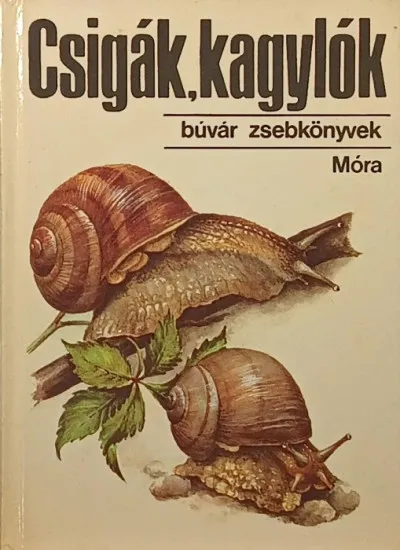 Csigák, kagylók Kedvezmény