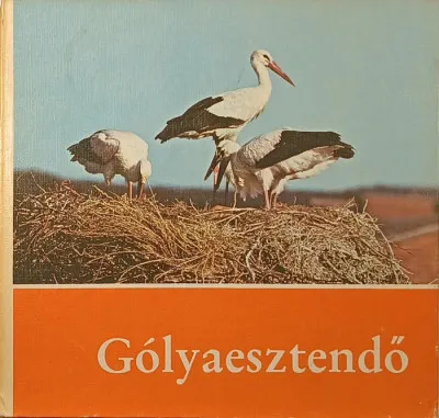 Gólyaesztendő Végkiárusítás