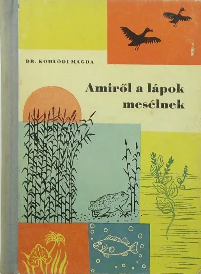 Amiről a lápok mesélnek Árengedmény