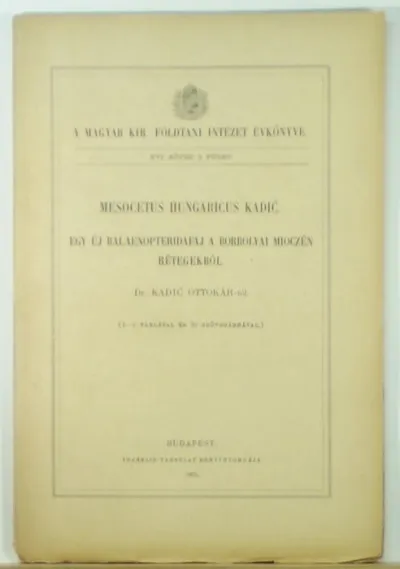 Legkelendőbb Mesocetus hungaricus kadic - Egy új balaenopterdidafaj a borbolyai mioczén rétegekből