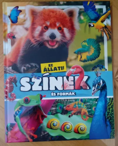 Színes és formák Korlátozott ajánlat