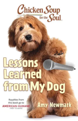 Life Lessons Learned From My Dog Legnépszerűbb