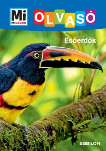 Csak ma Esőerdők