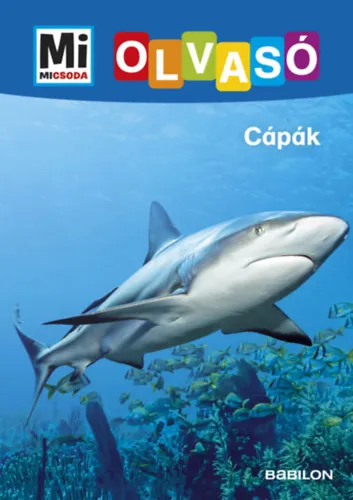 Csak ma Cápák