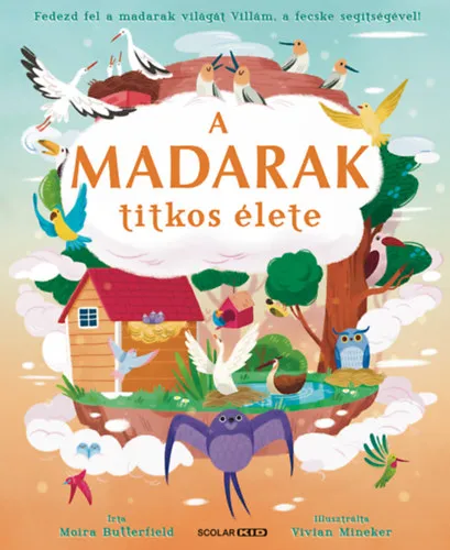 Csak ma A madarak titkos élete
