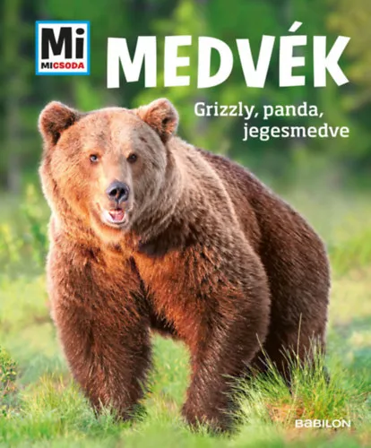 Medvék - Grizzly, panda, jegesmedve - Mi Micsoda Újdonság