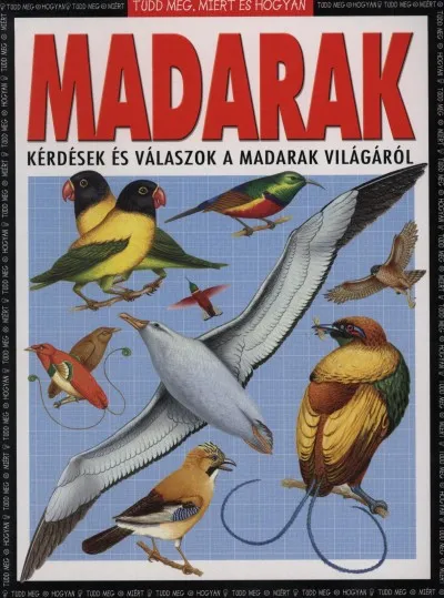 Árengedmény Madarak - kérdések és válaszok a madarak világáról - Tudd meg, miért és hogyan