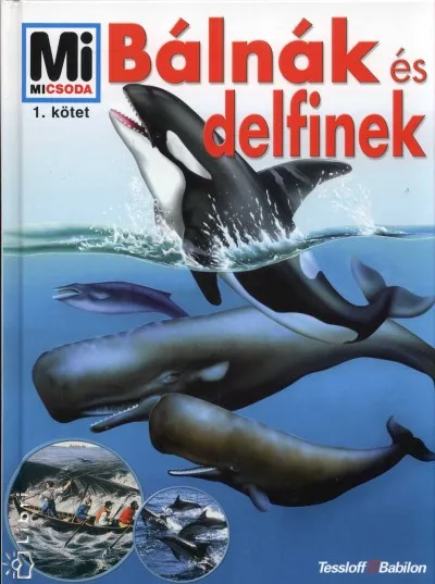 Vedd meg most Bálnák és delfinek - Mi micsoda 1.