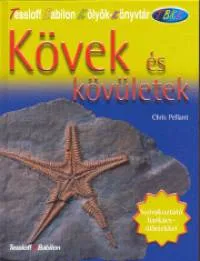 Kövek és kövületek Újdonság