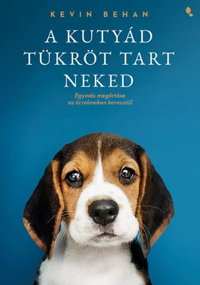 Szuper akció A kutyád tükröt tart neked - Egymás megértése az érzelmeken keresztül