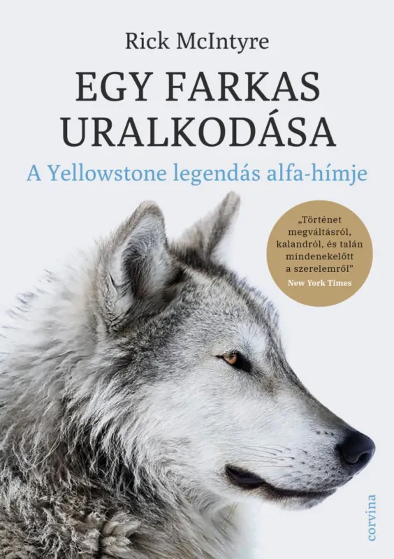 Kedvezmény Egy farkas uralkodása - A Yellowstone legendás alfahímje