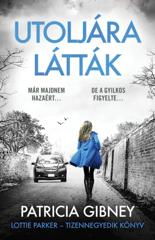 Azonnali szállítás Utoljára látták - Lottie Parker 14.