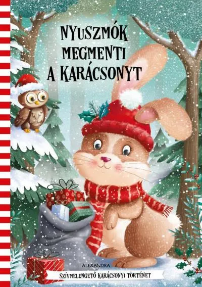 Legjobb ár Nyuszmók megmenti a karácsonyt - Szívmelengető karácsonyi történet