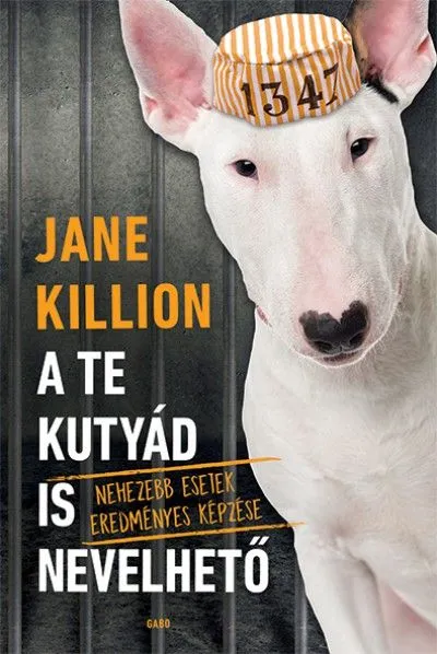 Akció A te kutyád is nevelhető