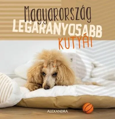 Magyarország legaranyosabb kutyái - 365 gondolat Legnépszerűbb