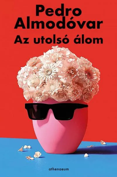 Kedvezményes ár Az utolsó álom