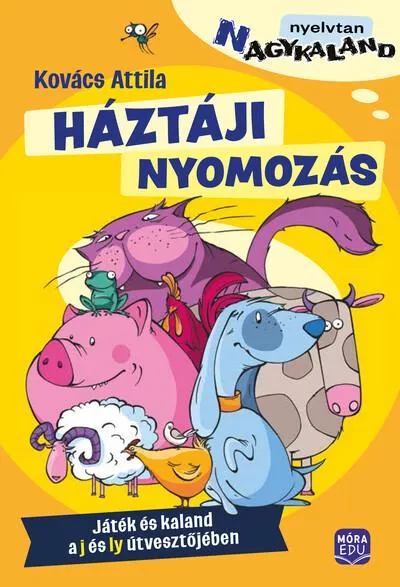 Rendeld meg most Háztáji nyomozás - Játék és kaland a j és ly útvesztőjében - (N)agykaland