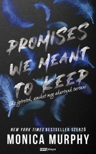 Promises We Meant to Keep - Az ígéretek, amiket meg akartunk tartani - (Különleges kiadás) Rendeld meg most