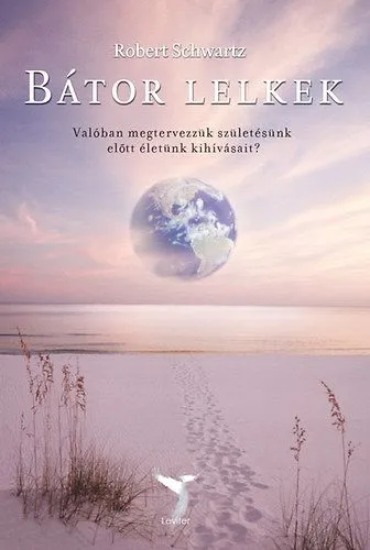 Bátor lelkek - Valóban megtervezzük születésünk előtt életünk kihívásait? Expressz szállítás