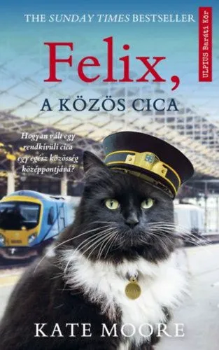 Felix, a közös cica Gyors szállítás