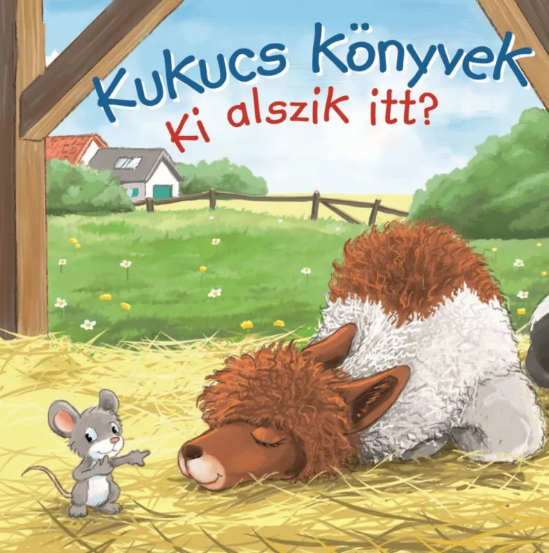Árcsökkenés Kukucs könyvek - Ki alszik itt?