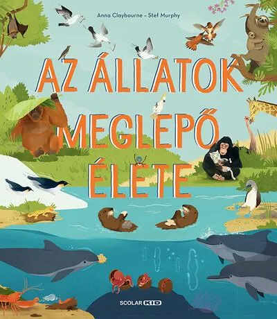 Szezonális akció Az állatok meglepő élete