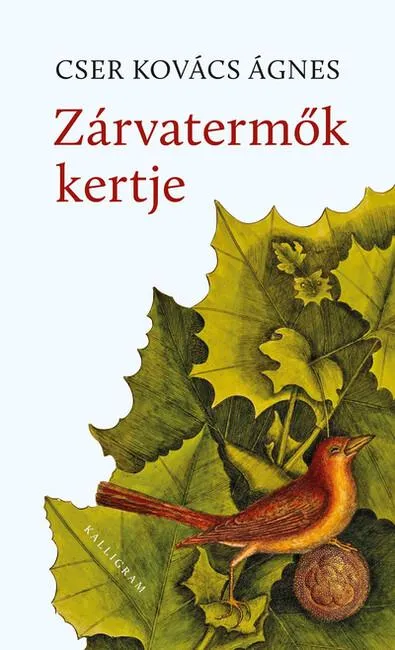 Zárvatermők kertje Nézd meg most