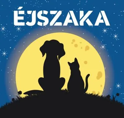 Biztonságos fizetés Éjszaka