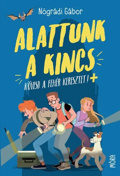 Biztonságos vásárlás Alattunk a kincs - Kövesd a fehér keresztet