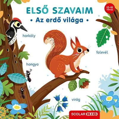 Outlet Első szavaim - Az erdő világa