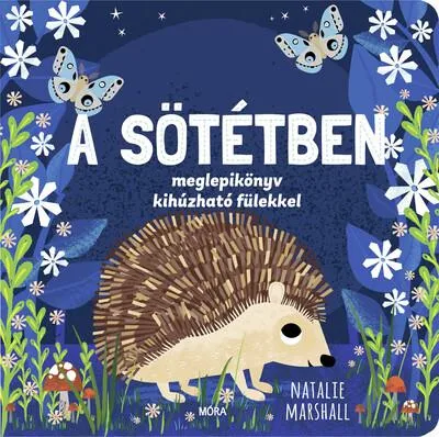 Exkluzív ajánlat A sötétben - Meglepikönyv kihúzható fülekkel