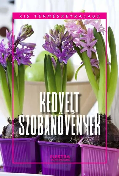 Vedd meg online Kedvelt szobanövények - Kis természetkalauz