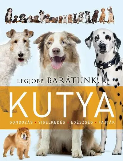 Legjobb barátunk a kutya - Legjobb barátunk... Kihagyhatatlan ajánlat