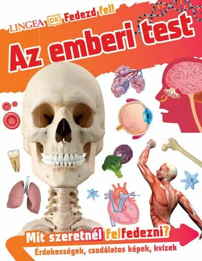 Azonnal elérhető Az emberi test - Fedezd fel!
