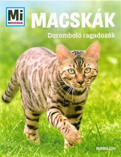 Macskák - Doromboló ragadozók /Mi Micsoda Csak ma
