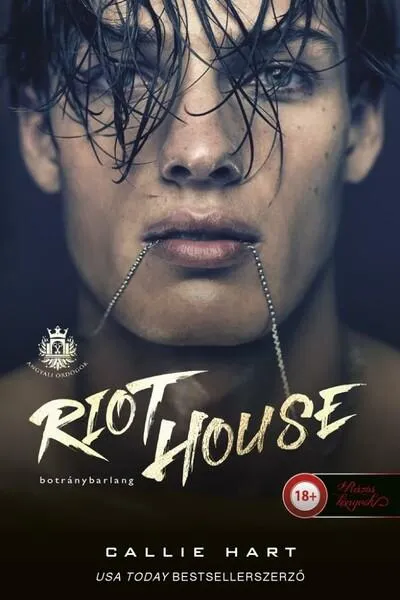 Árcsökkenés Riot House - Botránybarlang - Angyali ördögök 1.