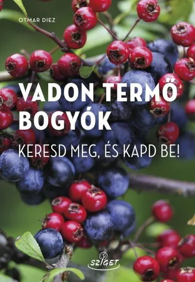 Szuper ajánlat Vadon termő bogyók - Keresd meg, és kapd be!