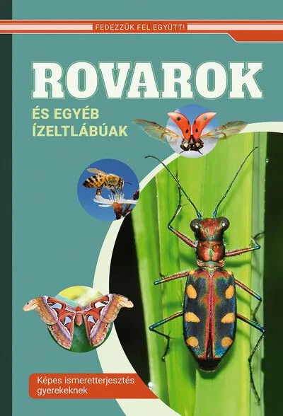 Rovarok és egyéb ízeltlábúak - Képes ismeretterjesztés gyerekeknek - Fedezzük fel együtt! Kedvezmény