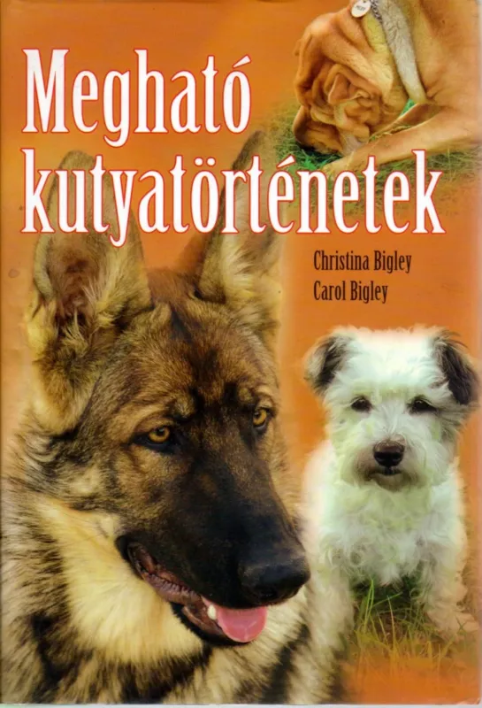 Megható kutyatörténetek Nézd meg most