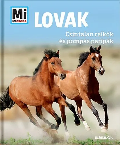 Kiárusítás Lovak - Csintalan csikók és pompás paripák - Mi Micsoda