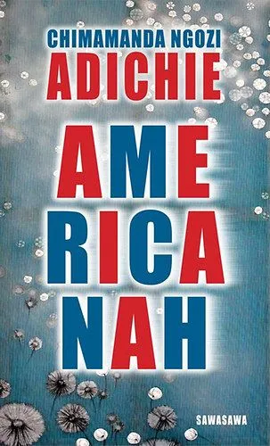 Americanah Kihagyhatatlan ajánlat