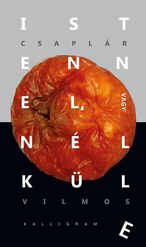 Istennel, vagy nélküle - Gondolatok a reflektív evolúcióról Utolsó esély