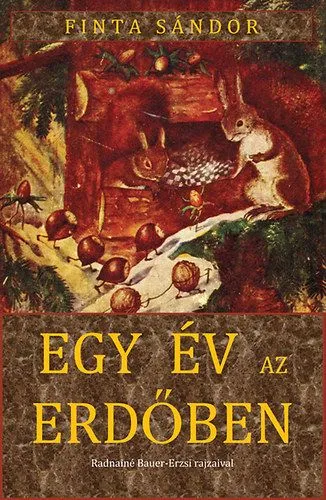 Nézd meg most Egy év az erdőben