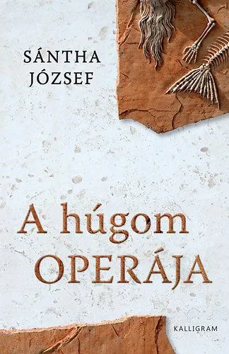 Bestseller A húgom operája