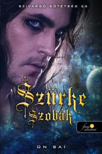 Szürke szobák - Szivárgó sötétség 2.5 Akciós ár